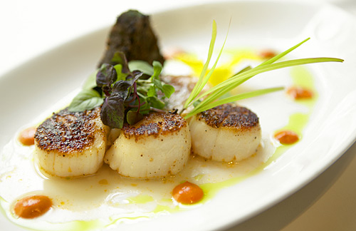 Scallops